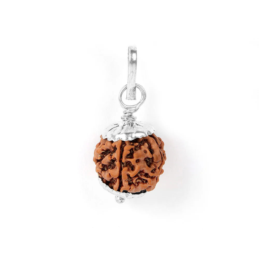 5 Mukhi Rudraksha Pendant – Silver Capped