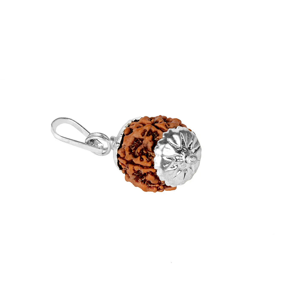 5 Mukhi Rudraksha Pendant – Silver Capped