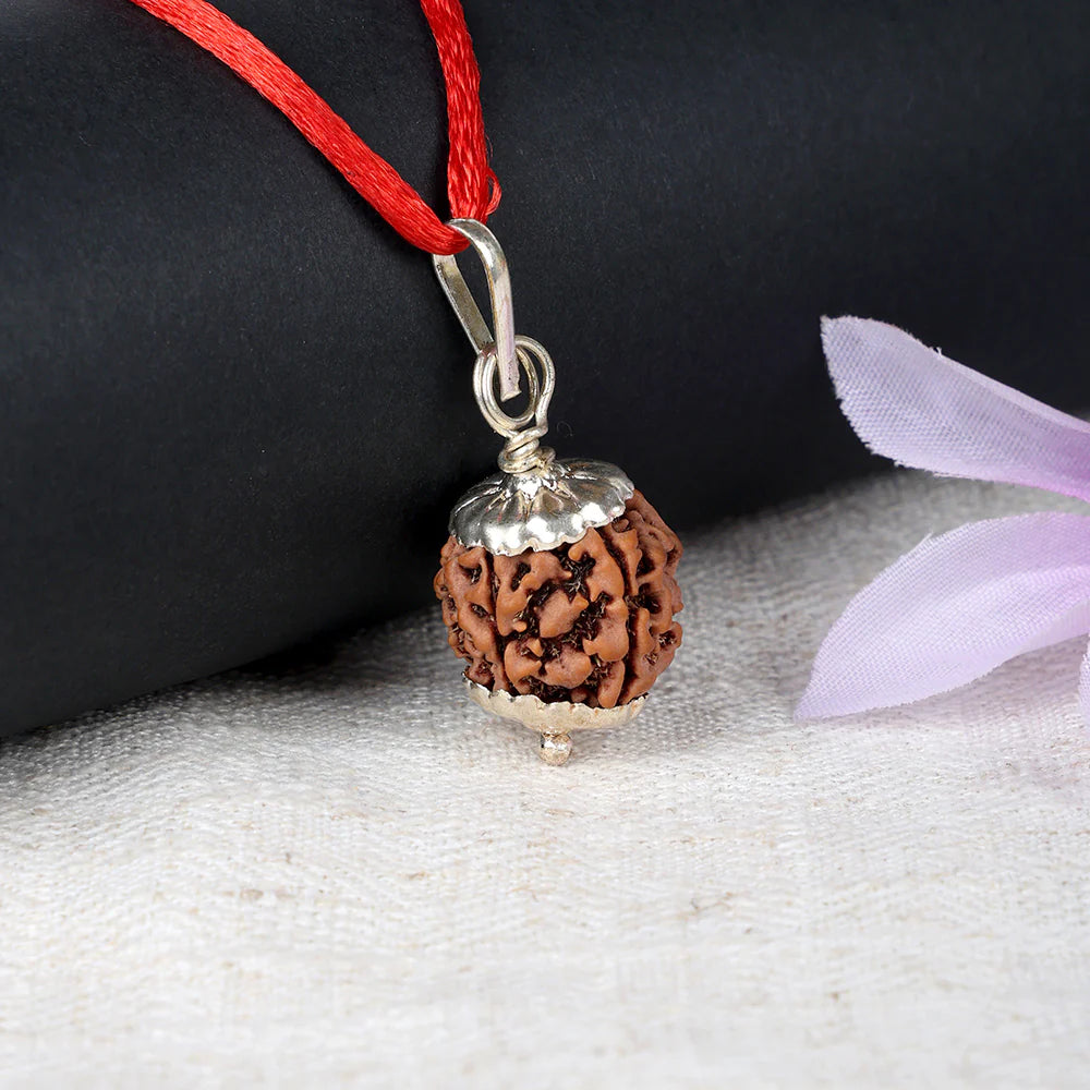 5 Mukhi Rudraksha Pendant – Silver Capped
